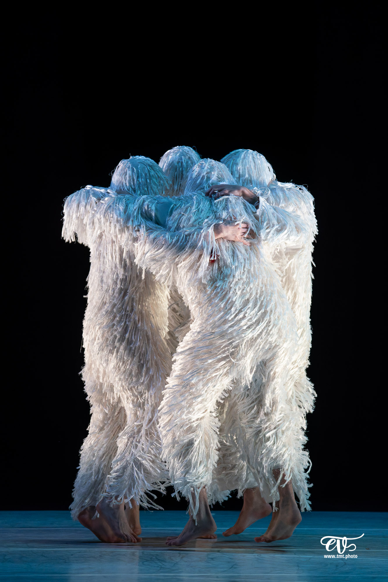 A4 (COMME LA FEUILLE) CIE CHICOS MAMBO